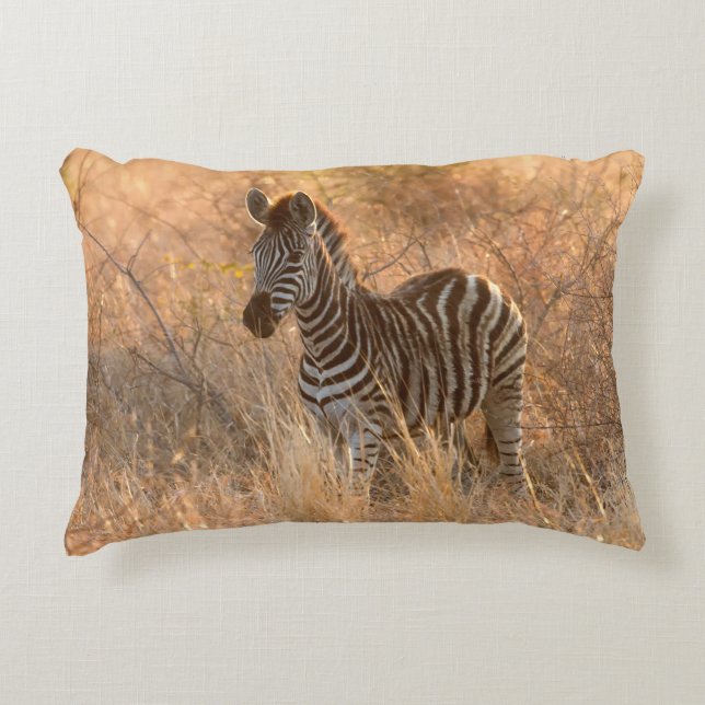 Almofada Decorativa Foto do dia de sol de Zebra (Frente)