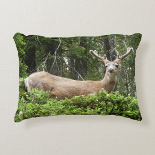 Almofada Decorativa Fotografia Animal Yosemite Deer Nature