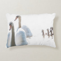 Fotografia da Família de Cisnes na Natureza