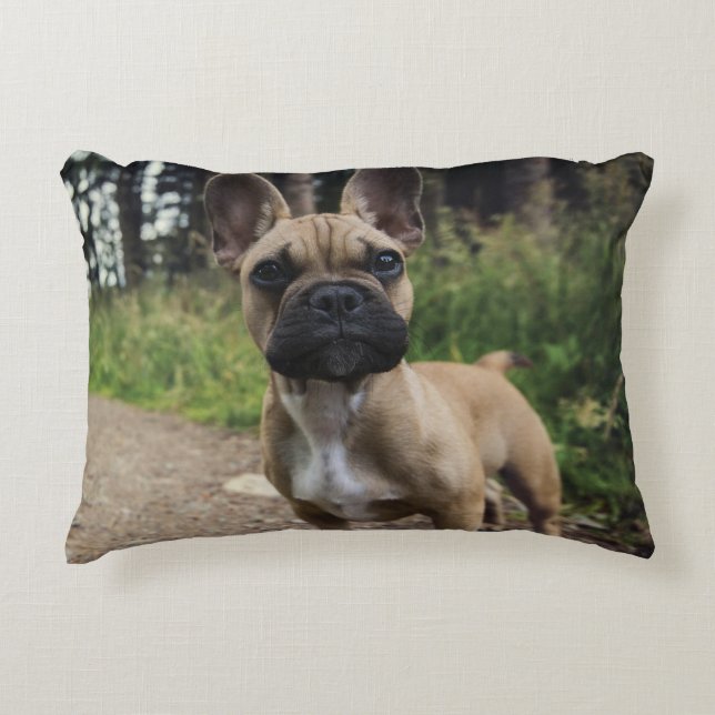 Almofada Decorativa French Bulldog Throw Pillow (Frente)
