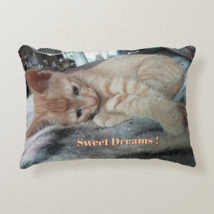 Almofada Decorativa Gatinho Laranja , Texto Divertido , Foto Personal