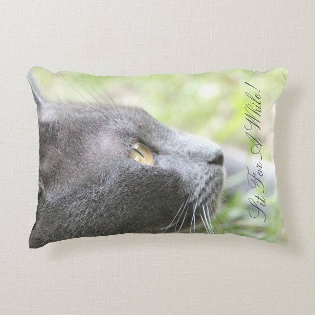 Almofada Decorativa Gato de cinza (Frente)