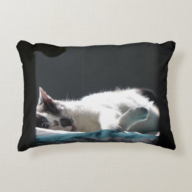 Almofada Decorativa Gato no Sunspot Não Incomodar (Frente)