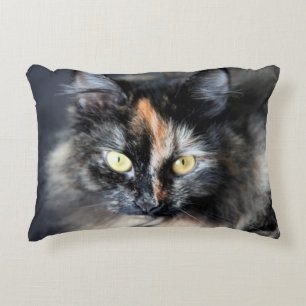 Almofada Decorativa Gato Siberiano