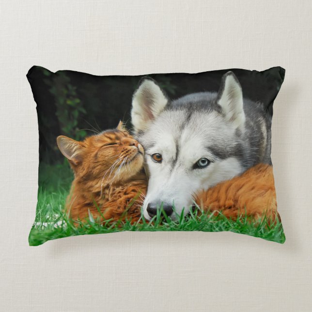 Almofada Decorativa Gato somali e amigos siberianos do Husky amontoado (Frente)