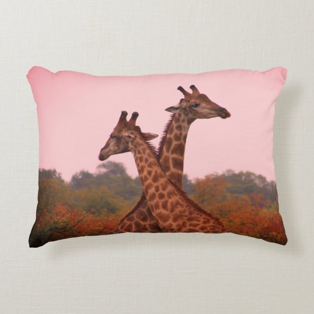 Almofada Decorativa Girafas com céu rosa (Frente)