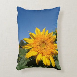 Almofada Decorativa Girassol
