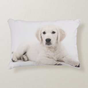 Almofada Decorativa Golden retriever