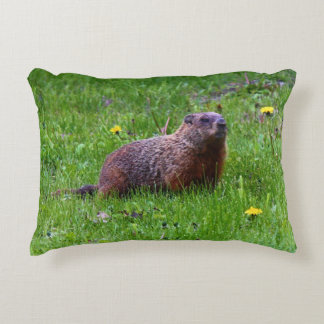 Almofada Decorativa Groundhog
