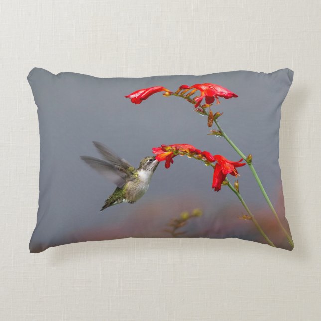 Almofada Decorativa Hummingbird E Crocosmia (Frente)