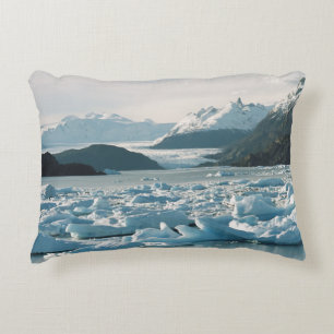 Almofada Decorativa Icebergs Glaciais