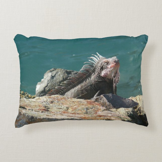 Almofada Decorativa Iguana em St. Thomas (Frente)