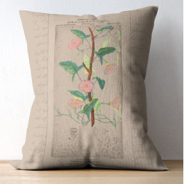 Almofada Decorativa Ilustração Botânica Francesa Bindweed