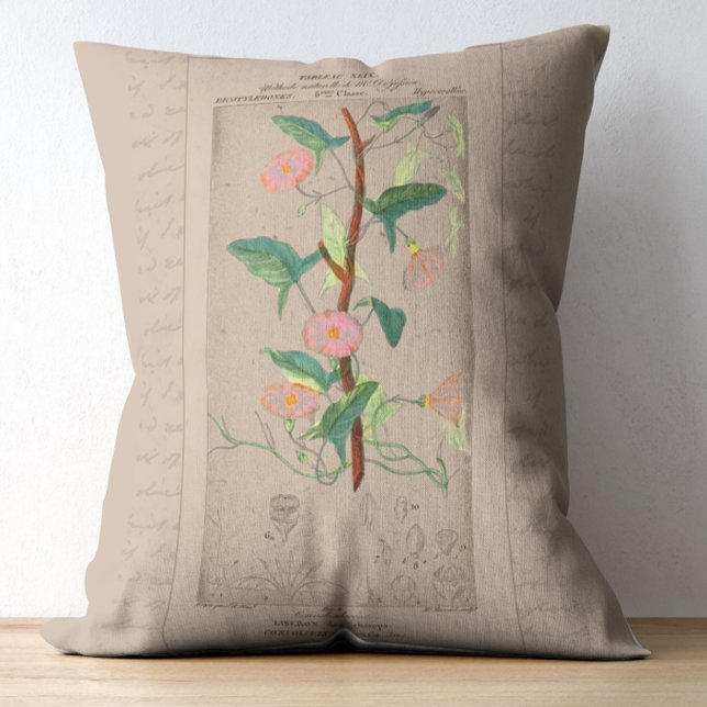 Almofada Decorativa Ilustração Botânica Francesa Bindweed (Criador carregado)