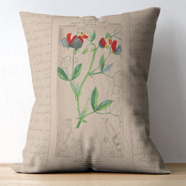Almofada Decorativa Ilustração Botânica Francesa - Ervilha Doce (Criador carregado)