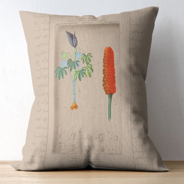 Almofada Decorativa Ilustração Botânica Francesa Snakelily (Criador carregado)