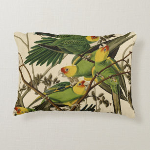 Almofada Decorativa Ilustração de Ave de Papagaio da Carolina de Audub