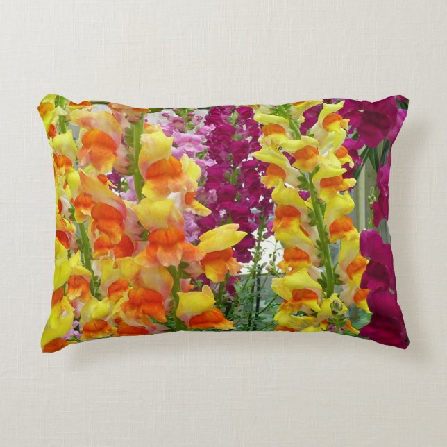 Almofada Decorativa Instantâneos corados (Frente)