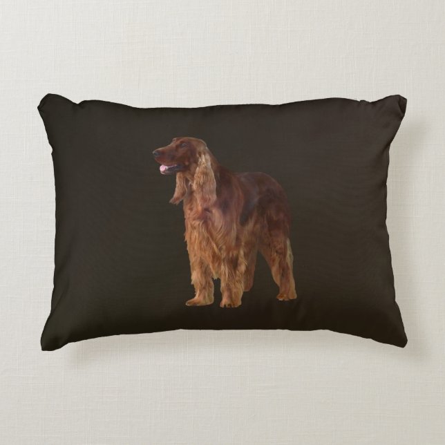 Almofada Decorativa Irish Setter (Frente)