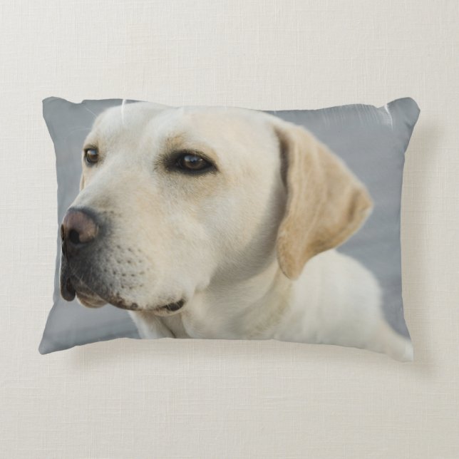 Almofada Decorativa Labrador retriever amarelo (Verso)