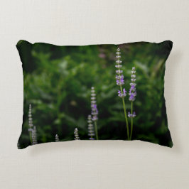 Almofada Decorativa Lavanda Inglesa