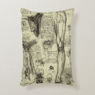 Almofada Decorativa Leonardo da Vinci Antiga Anatomia Humana Laringe P