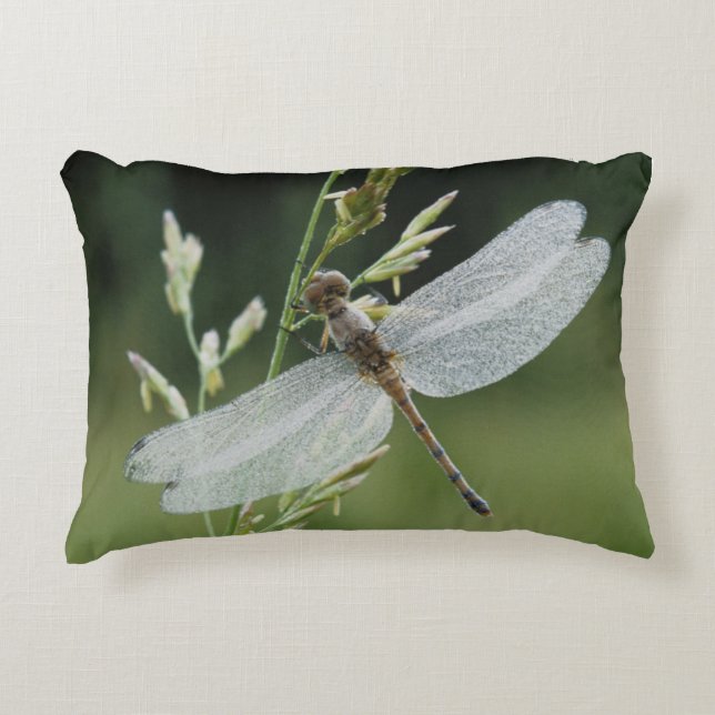 Almofada Decorativa Libélula Darner coberta de orvalho (Frente)