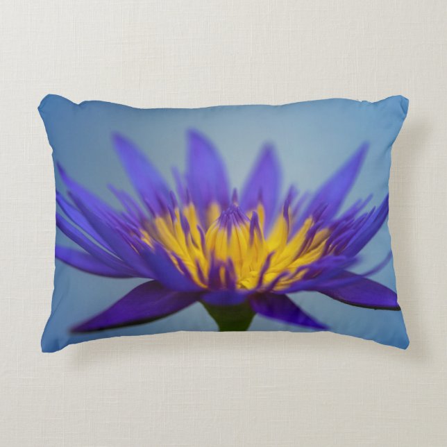 Almofada Decorativa Lily de água púrpura (Frente)