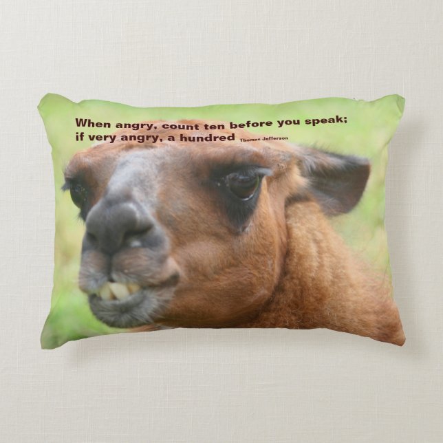 Almofada Decorativa Llama Anger Cote Inspiracional  (Frente)