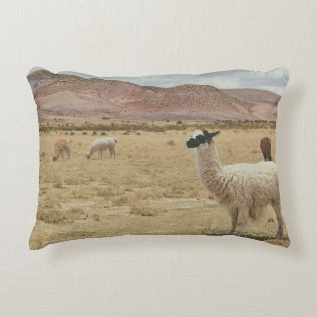 ALMOFADA DECORATIVA LLAMA BRANCO NA GRAMA MARCADA (Frente)