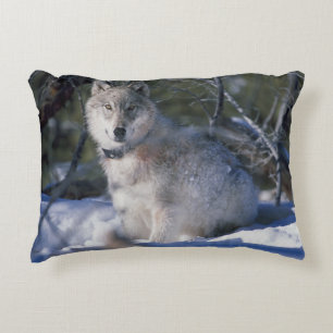 Almofada Decorativa Lobo do inverno