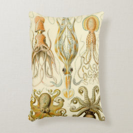 Almofada Decorativa Lula polvo-gigante Gamochonia por Ernst Haeckel vi
