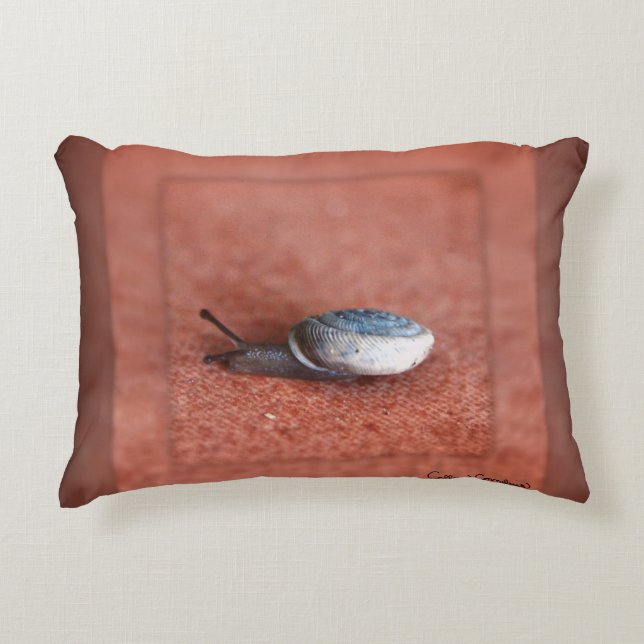 Almofada Decorativa Macro Fotografia de Caracol em Terracotta (Frente)
