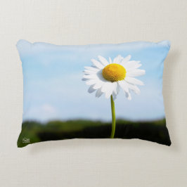 Almofada Decorativa Madelief rechtop geisoleerd in de natuur.