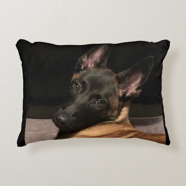 Almofada Decorativa Malinois Dog (Frente)