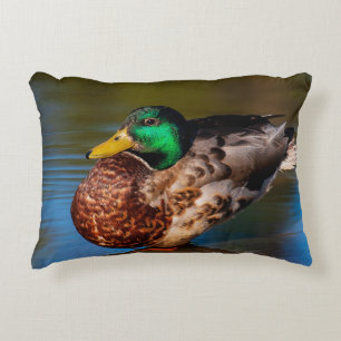 Almofada Decorativa Mallard Portrait