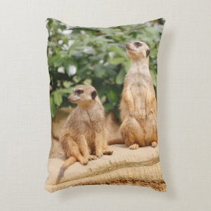 Almofada Decorativa Meerkat 009