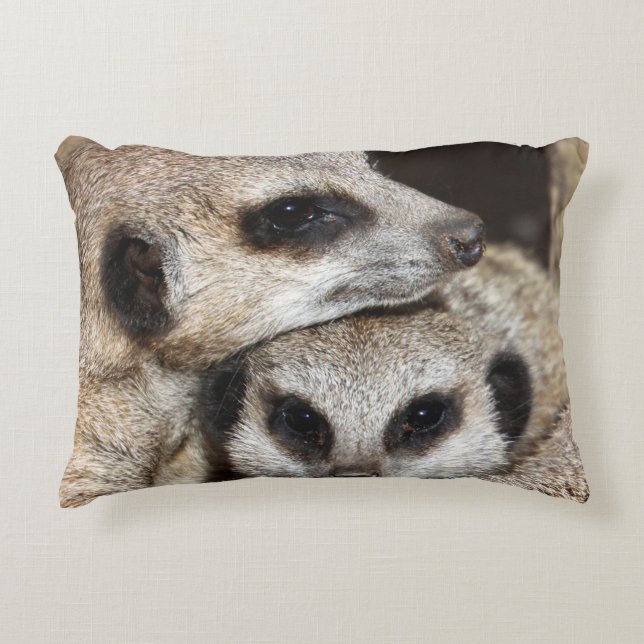 Almofada Decorativa Meerkat 019 (Frente)