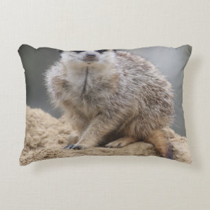 Almofada Decorativa Meerkat 021