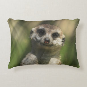 Almofada Decorativa Meerkat 034