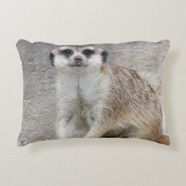 Almofada Decorativa Meerkat 134 (Frente)