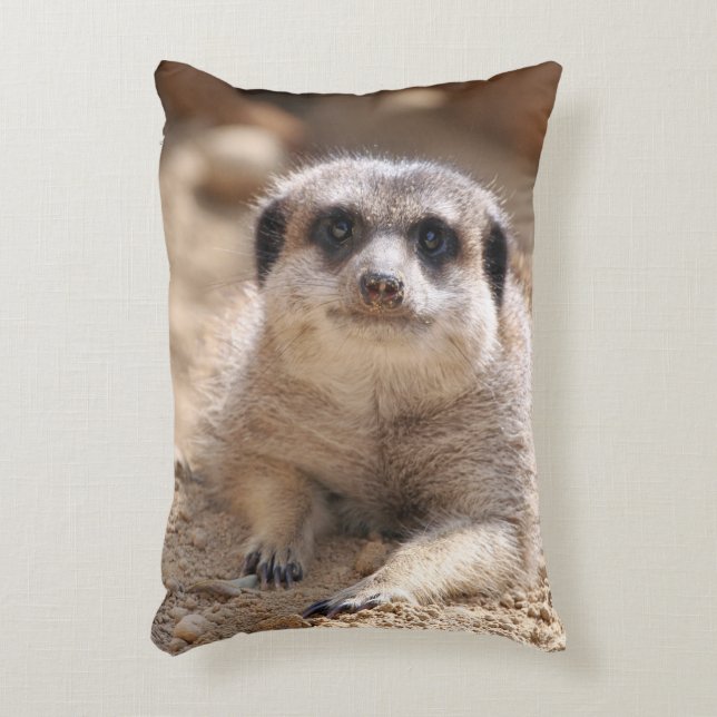 Almofada Decorativa Meerkat 174 (Frente(Vertical))