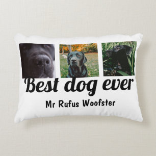 Almofada Decorativa Melhor Cachorro Personalizado por Foto e Texto