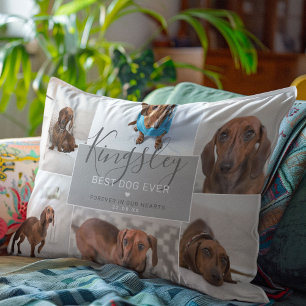 Almofada Decorativa Melhor Cão Chic Nunca   Perda de Pet de Colagem d