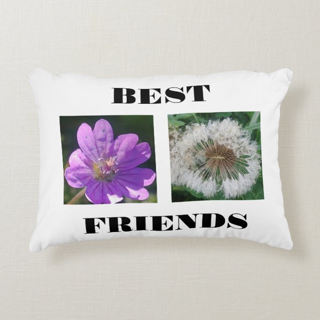 Almofada Decorativa Melhor Modelo de Imagem de Amigos (Frente)