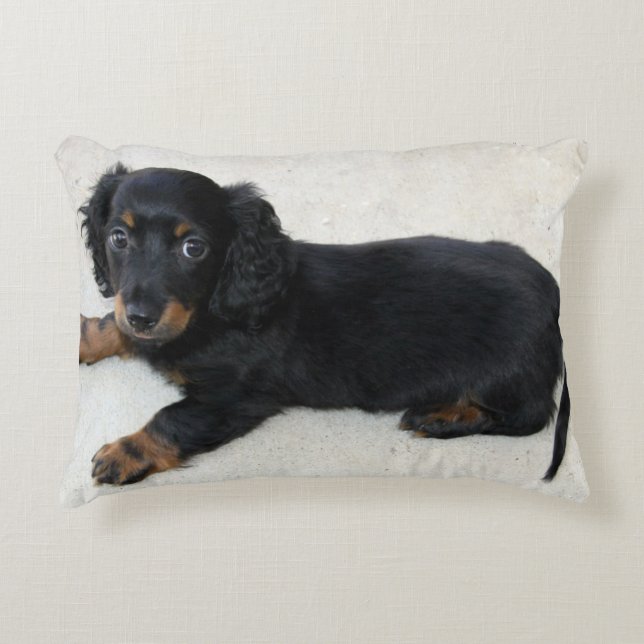 Almofada Decorativa Mini filhote de cachorro Longhair do Dachshund (Frente)