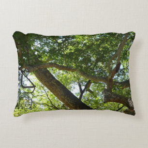 Almofada Decorativa Natureza Verde da Árvore Sycamore