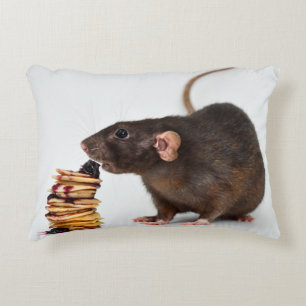 Almofada Decorativa O Rato Muito Faminto