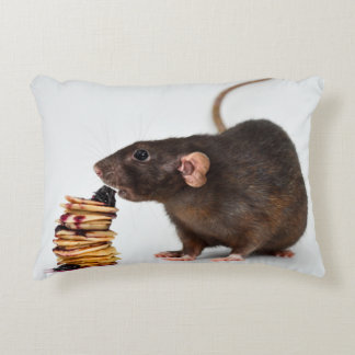 Almofada Decorativa O Rato Muito Faminto