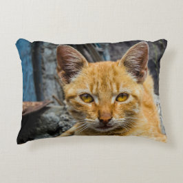 Almofada Decorativa Olhos de ouro